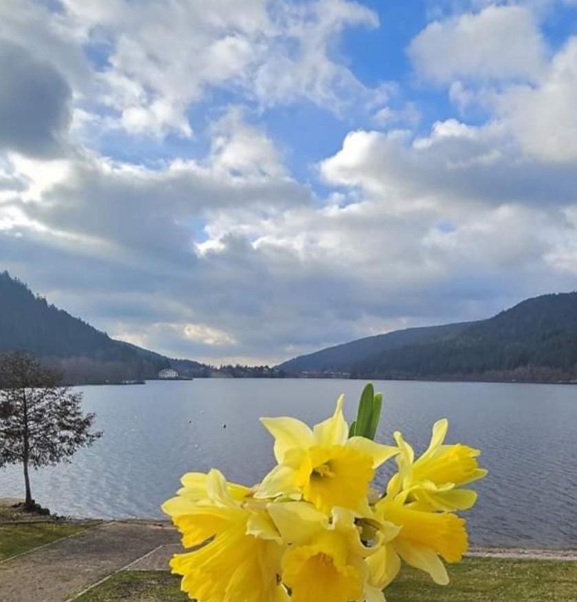 Les Yeux Du Lac Gerardmer Exterior photo
